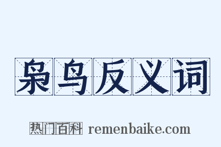 枭鸟反义词是什么意思的图片